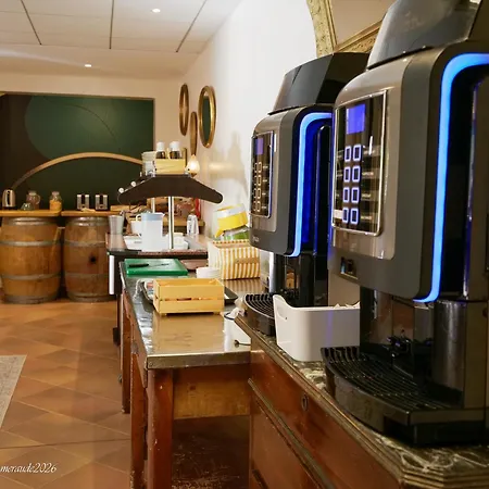 Appart'Hotel-Restaurant Castel Emeraude Amélie-les-Bains-Palalda